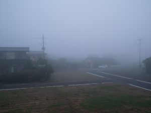 朝　濃霧　231104 (1 - 1)